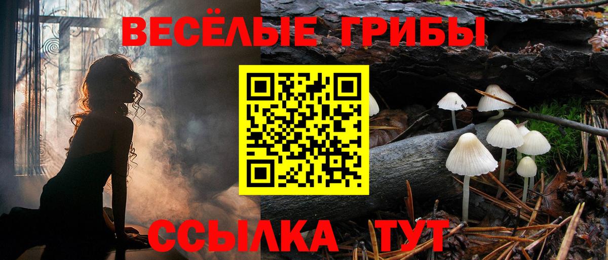 Псилоцибиновые грибы Cubensis Кольчугино