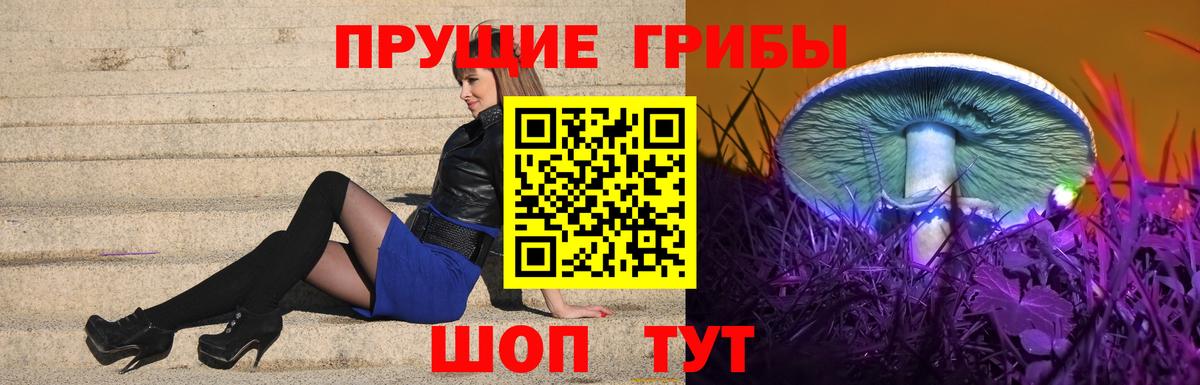 Псилоцибиновые грибы мухоморы  Вход с VPN  Кольчугино  Галлюциногенные грибы прущие грибы 